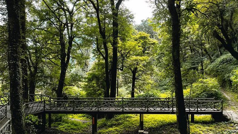 怒江活動策劃：有一種生活叫云南的怒江丨一起去姚家坪，上一堂自然課